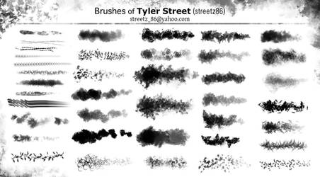 Custom Brushes of Tyler Street by ArtofStreet