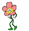 dancing flower