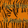 Tiger Stripes Brush Set
