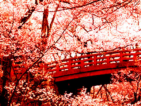 Red Cherry Blossoms PSD