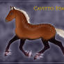Cavitto Foal 1321