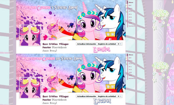 Facebook Timeline MLP Wedding Celebration Pack