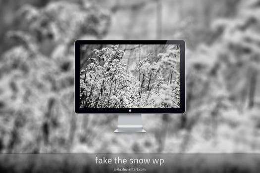 fake the snow wp