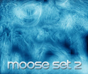 Moose_Set_2