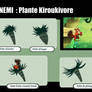 Kirooki_plante