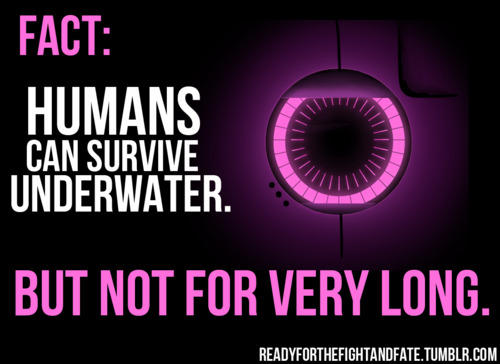 Portal 2 - Fact Core . SWF by SeeYouSpaceCowBoy14 on DeviantArt