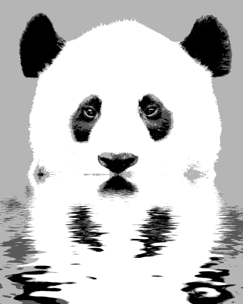 Panda's reflection by BMNSdesign on DeviantArt
