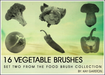 FOOD BRUSH COLLECTION - Veg