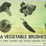 FOOD BRUSH COLLECTION - Veg