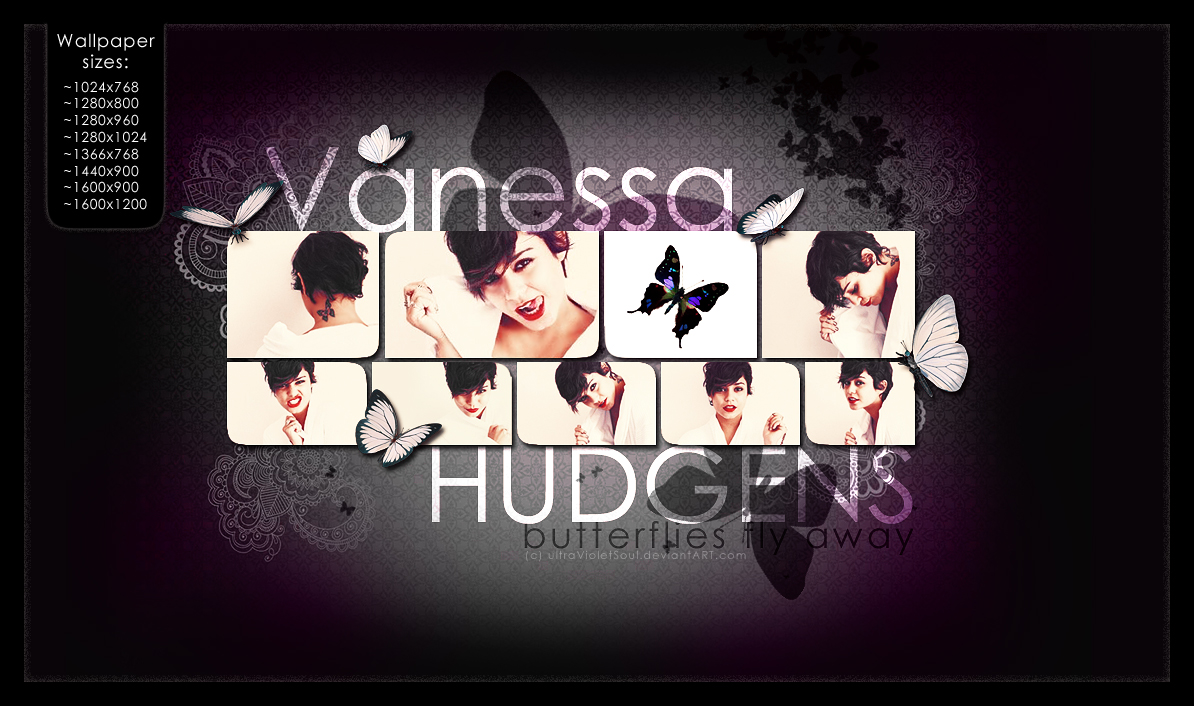 Vanessa Butterfly wallpaper