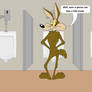 Wile E. Coyote using the little boys' room