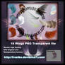 16 Wings PNG file transparent