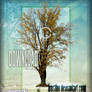 Tree 03 Stock