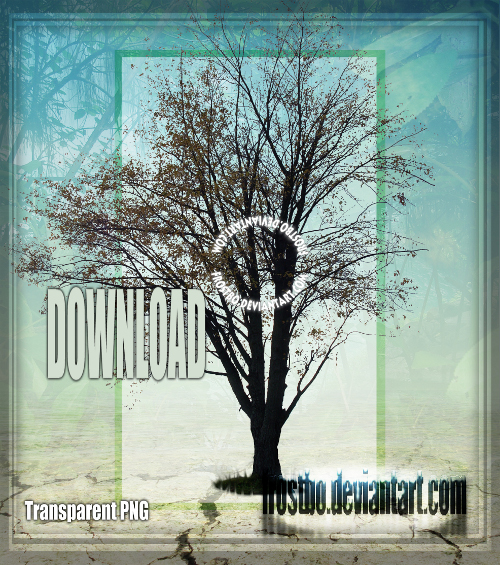 Tree 04 Stock by FrostBo on DeviantArt