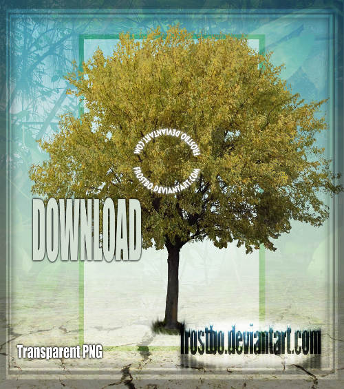 Tree 06 Stock by FrostBo