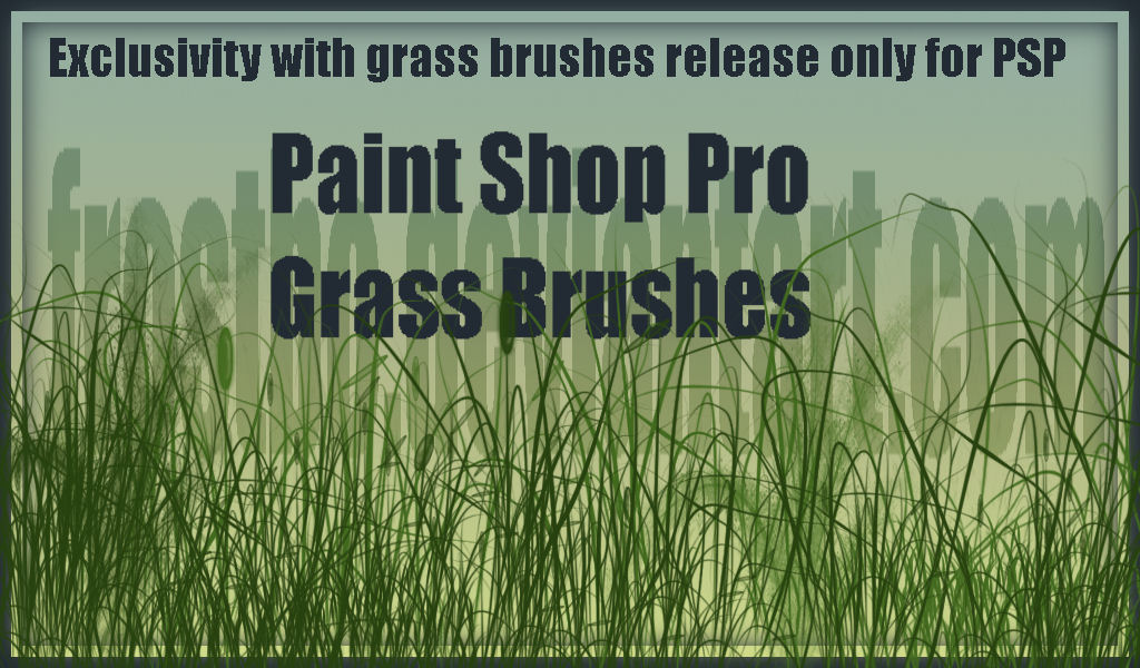 free paint shop pro brushes free paint shop pro brushes
