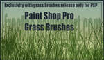 Paint Shop Pro Grass Brushes by FrostBo