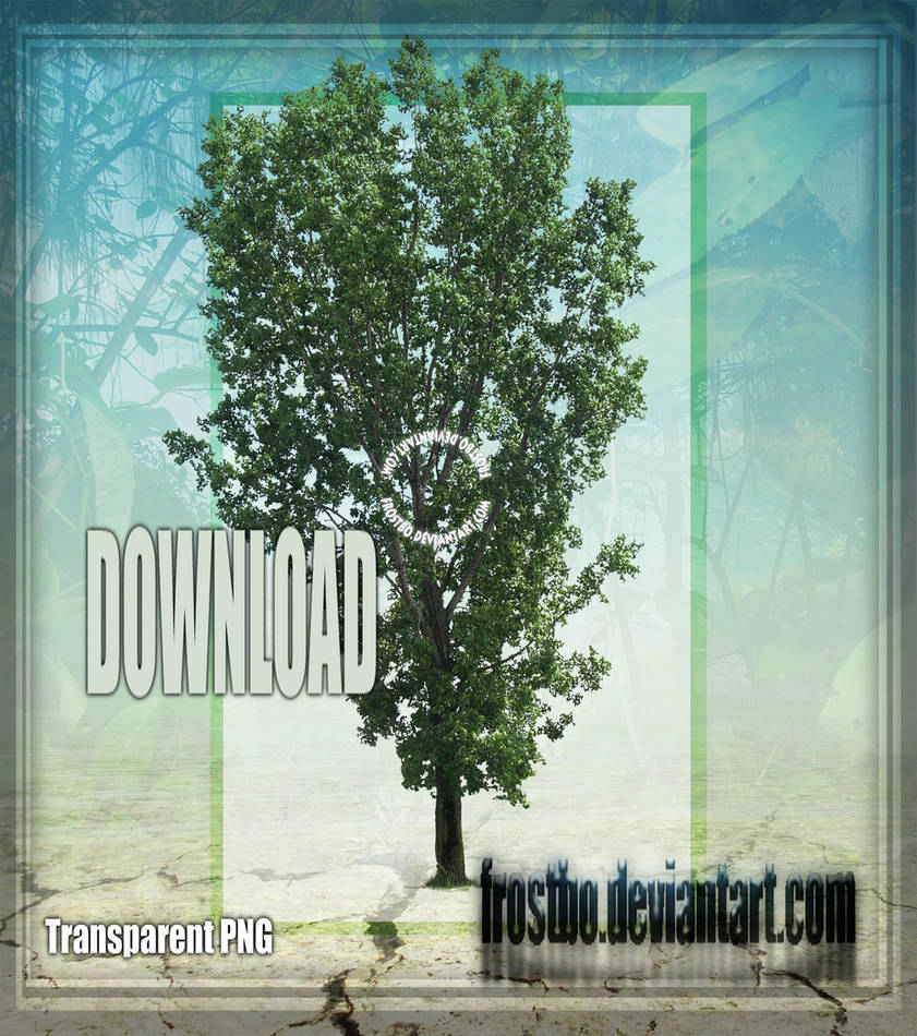 Tree Stock 45 by FrostBo on DeviantArt
