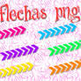 FLECHAS MG