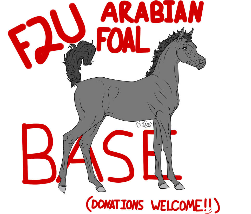 F2U - Arabian Foal Base