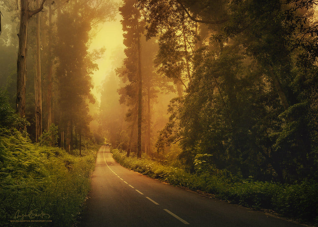 Driving this road down to Paradise by Miguel-Santos