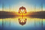 Landscapes Wallpaper-Pack by Miguel-Santos