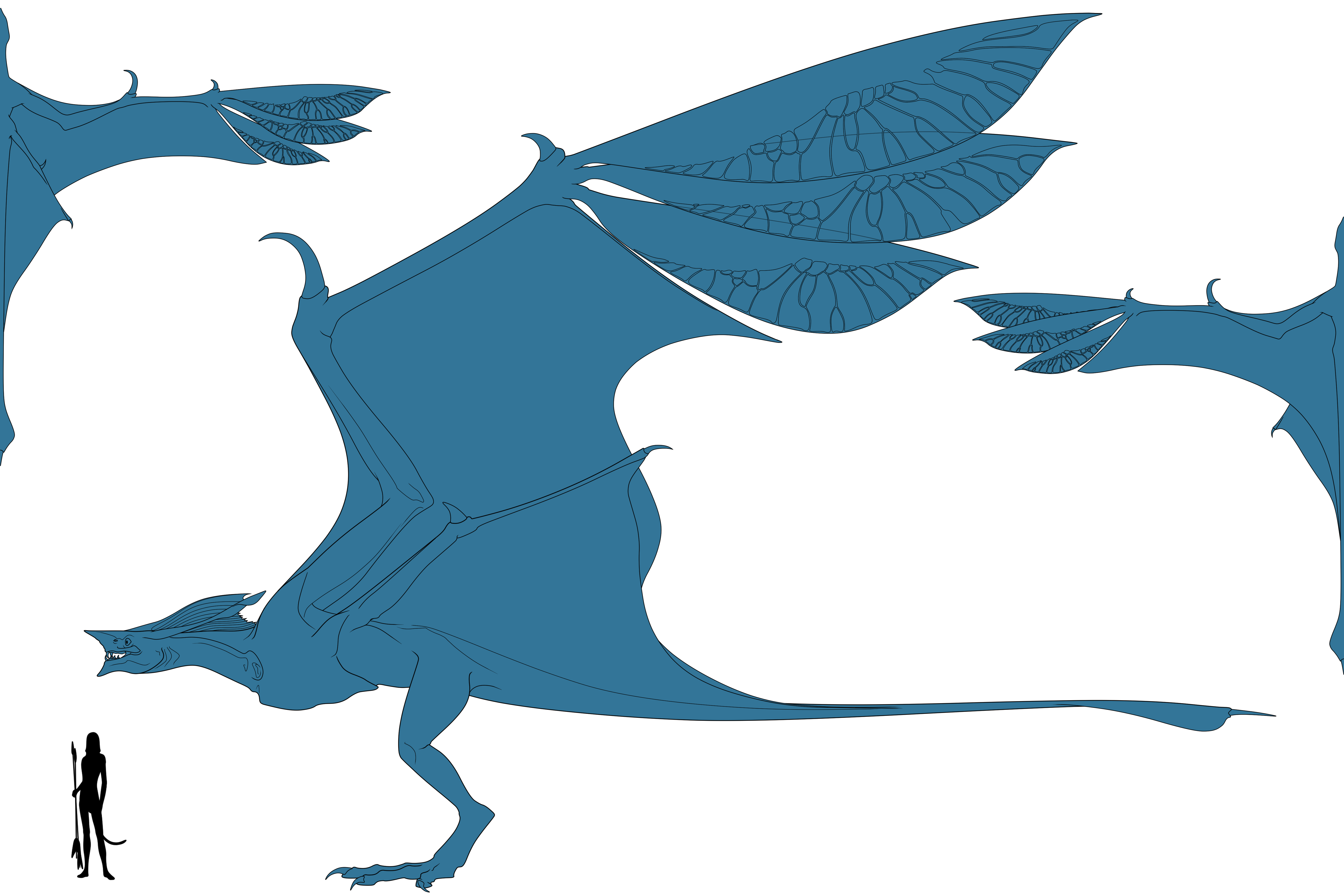 Stormglider Coloring Page by arourallis on DeviantArt