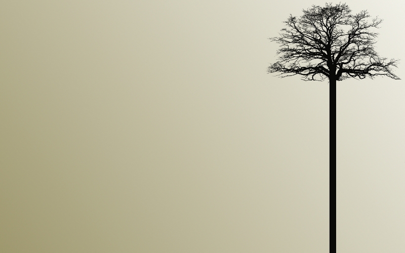 Wallpaper - Tree Widescreen