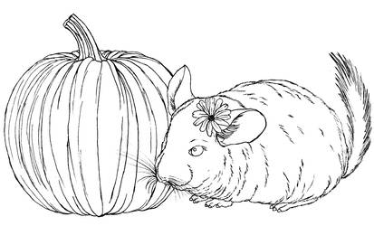 Explore the Best Chinchillas Art | DeviantArt