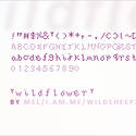 Pixel Font 1: Wildflower