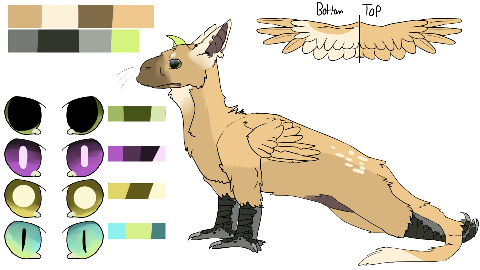 Butterscotch Ref Sheet by AutumnStoat on DeviantArt