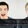 PSD1 - Peeta Blonde