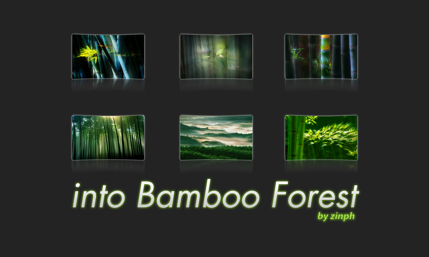 banboo forest