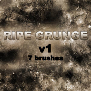 RIPE GRUNGE v1 - 7 Brushes