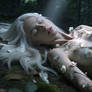 Dark Fantasy Forest Woman Cinematic Scene 