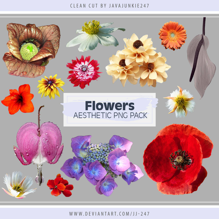 H4jpkio1sw9zem Minecraft flowers are found in many shapes and colors in minecraft. https www deviantart com jj 247 art flowers aesthetic png pack 750175585
