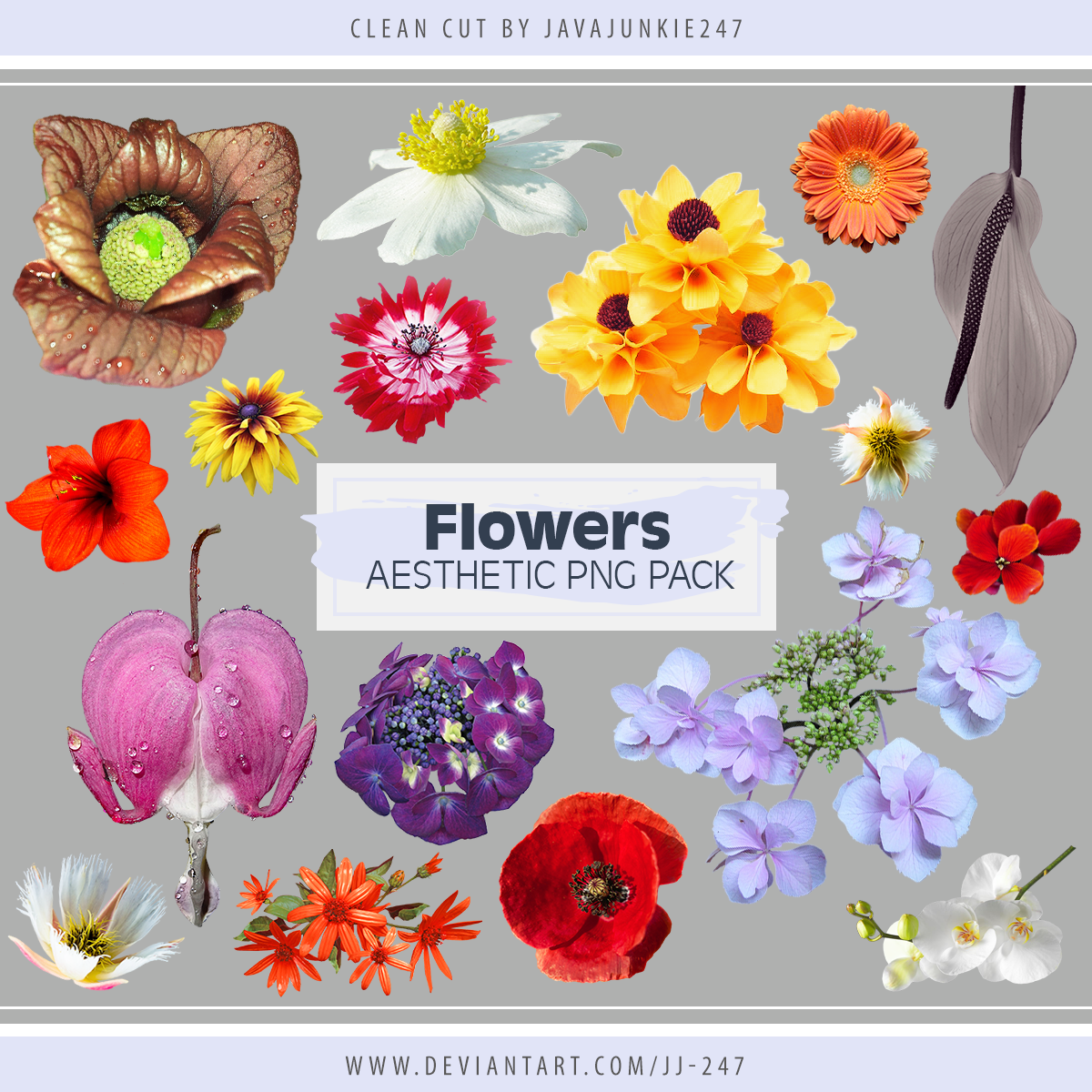 Flowers Aesthetic Png Pack By Jj 247 On Deviantart
