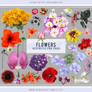 Flowers Aesthetic PNG Pack