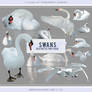 Swans Aesthetic PNG Pack