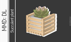 |MMD||DL| Succulent plant