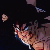 Wounded Bardock Walking