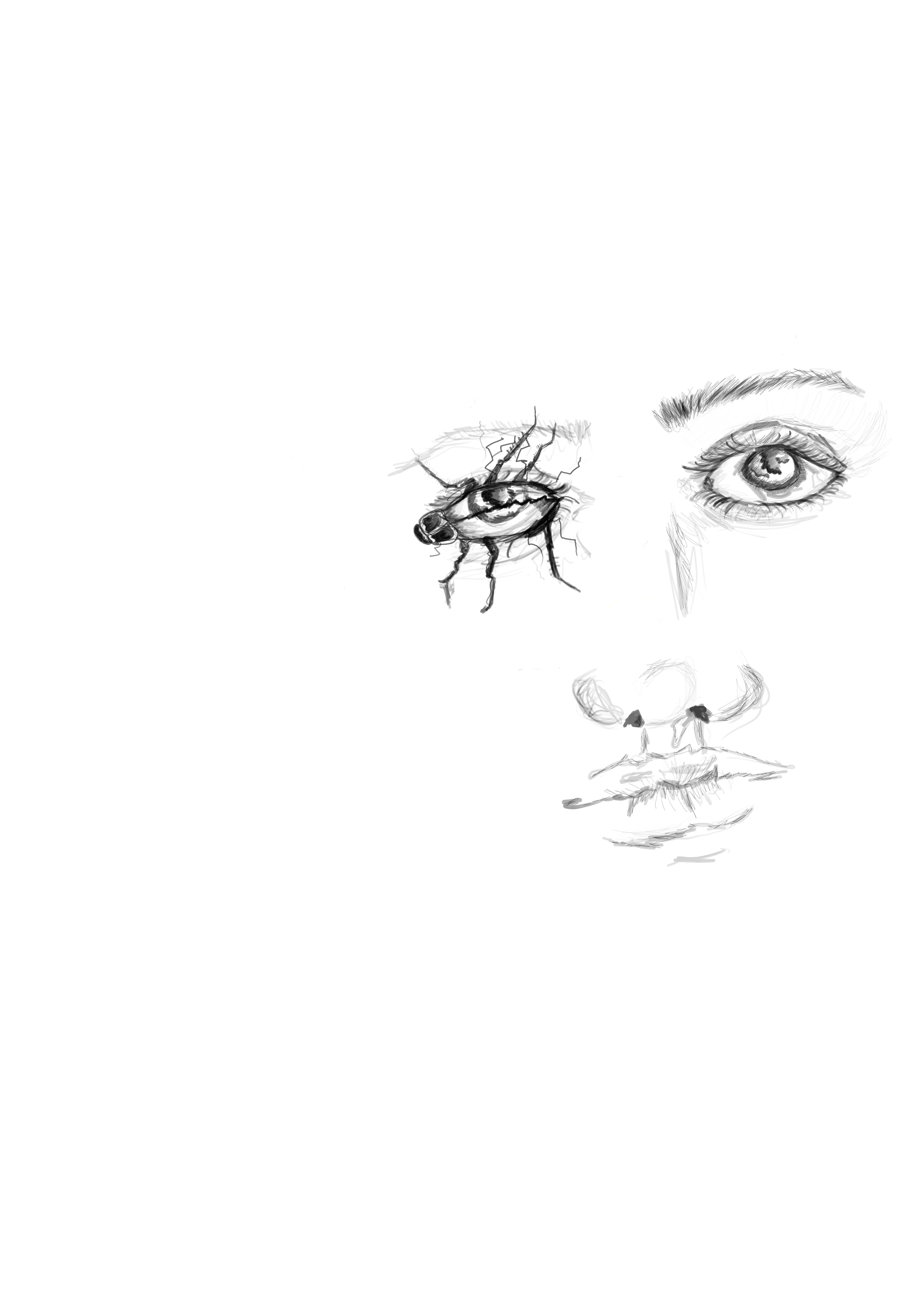 Deviantart Stock Face Face by Selmx on DeviantArt