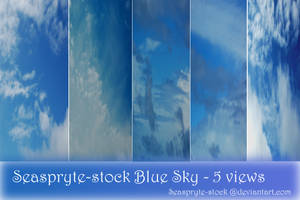 Seaspryte-stock Blue Skies 1