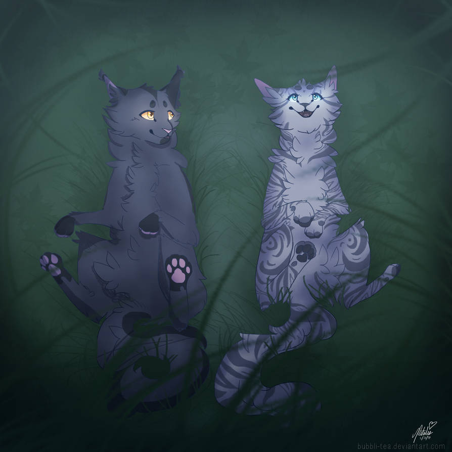 Коты Воители Крутобок