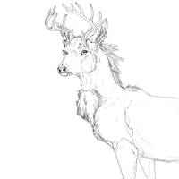 Sawsbuck base Line art