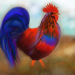 Radiant Rooster