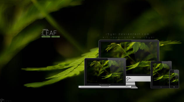 Green leaf