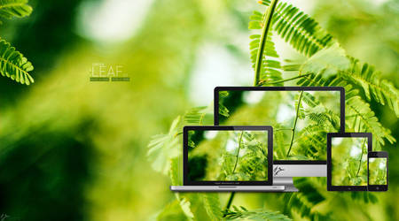 Green leaf .v2