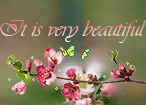 It-is-very-beautiful by faryba