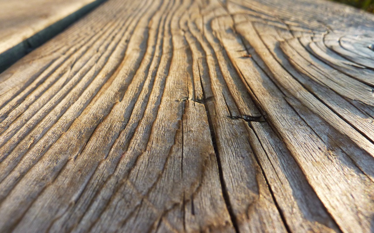 Woodplanks - Wallpaper